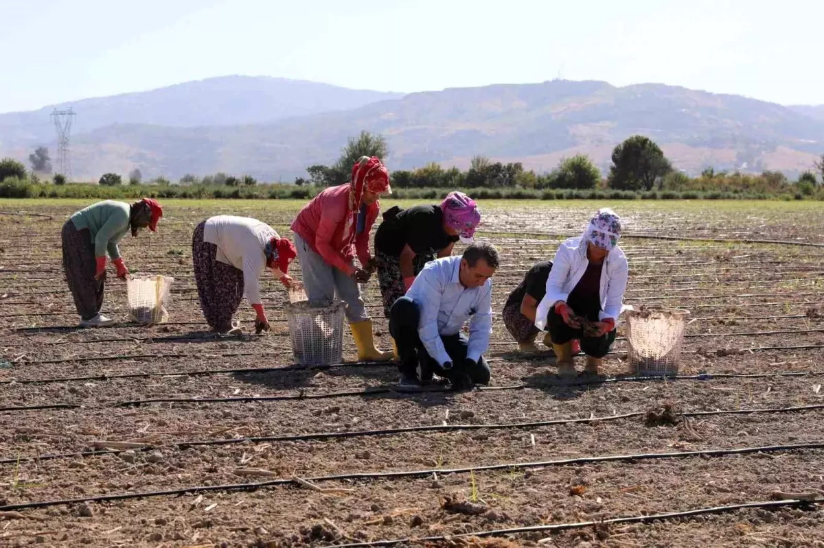 Efeler Belediye Başkanı Yetişkin, Tarımda Kadın Emeğine Destek Veriyor